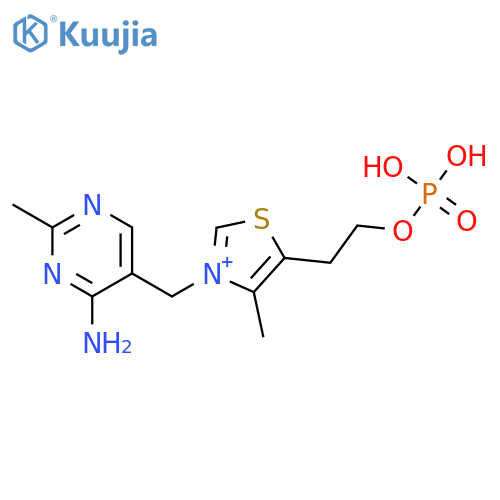 Thiazolium,3-[(4-amino-2-methyl-5-pyrimidinyl)methyl]-4-methyl-5-[2-(phosphonooxy)ethyl]- structure