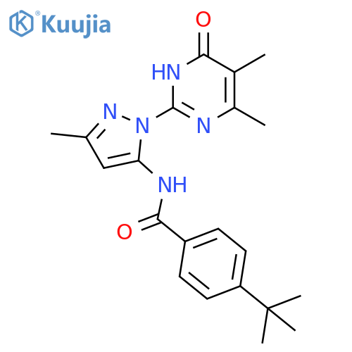 4-tert-butyl-N-[1-(4,5-dimethyl-6-oxo-1,6-dihydropyrimidin-2-yl)-3-methyl-1H-pyrazol-5-yl]benzamide structure