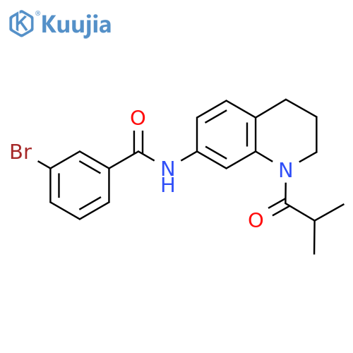3-bromo-N-[1-(2-methylpropanoyl)-1,2,3,4-tetrahydroquinolin-7-yl]benzamide structure
