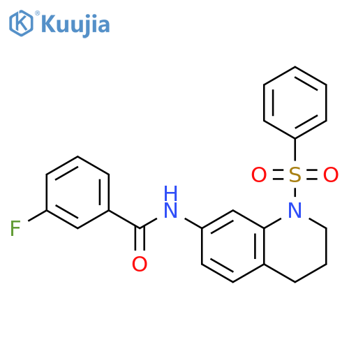 N-[1-(benzenesulfonyl)-1,2,3,4-tetrahydroquinolin-7-yl]-3-fluorobenzamide structure
