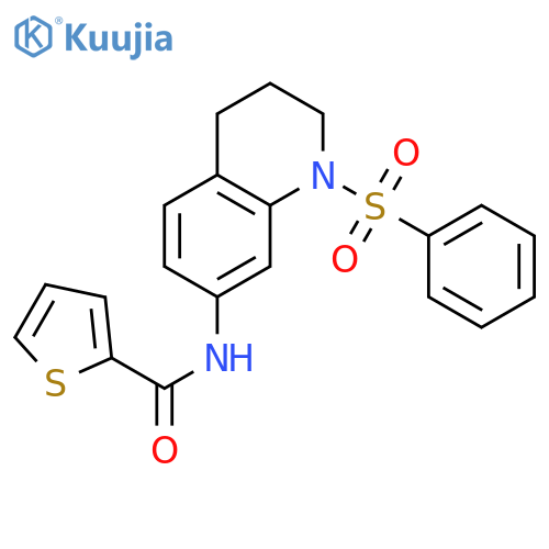 N-[1-(benzenesulfonyl)-1,2,3,4-tetrahydroquinolin-7-yl]thiophene-2-carboxamide structure