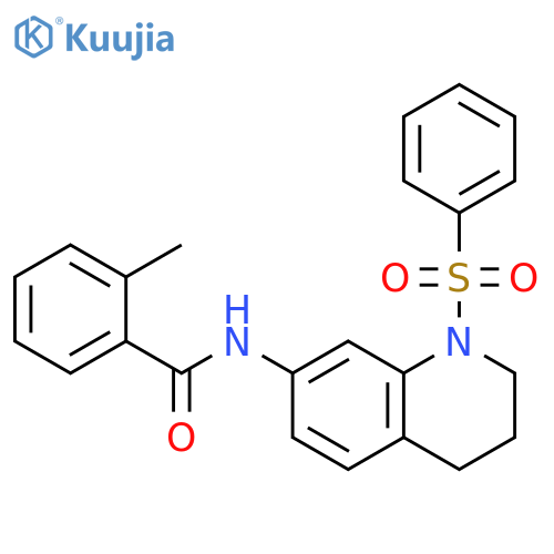 N-[1-(benzenesulfonyl)-1,2,3,4-tetrahydroquinolin-7-yl]-2-methylbenzamide structure