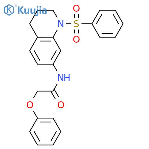 N-[1-(benzenesulfonyl)-1,2,3,4-tetrahydroquinolin-7-yl]-2-phenoxyacetamide structure