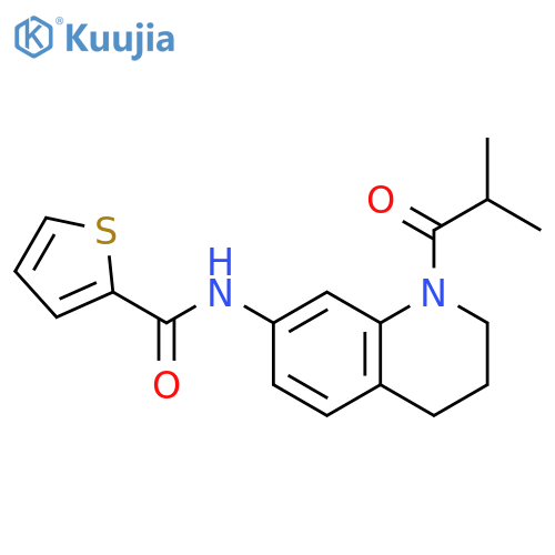 N-[1-(2-methylpropanoyl)-1,2,3,4-tetrahydroquinolin-7-yl]thiophene-2-carboxamide structure