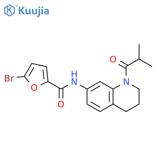 5-bromo-N-[1-(2-methylpropanoyl)-1,2,3,4-tetrahydroquinolin-7-yl]furan-2-carboxamide structure