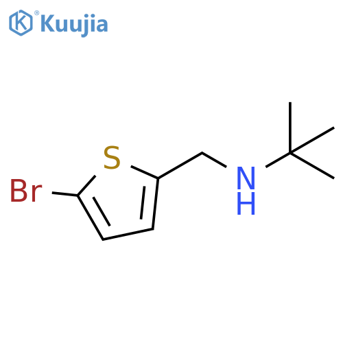 (5-bromothiophen-2-yl)methyl(tert-butyl)amine structure