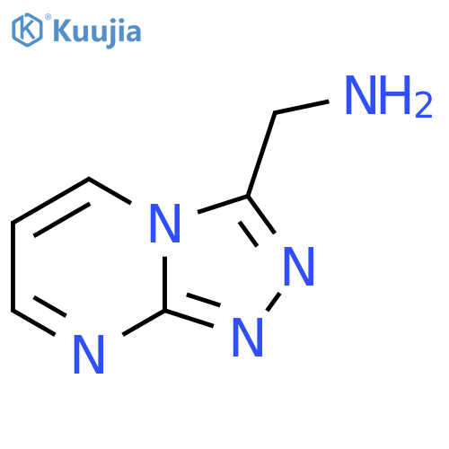1-{[1,2,4]triazolo[4,3-a]pyrimidin-3-yl}methanamine structure