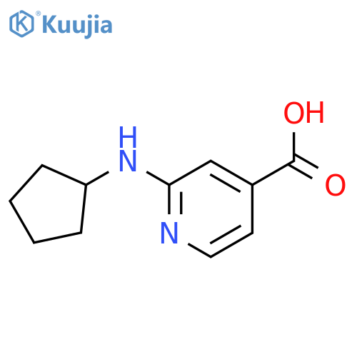 2-(cyclopentylamino)pyridine-4-carboxylic acid structure