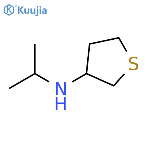 N-Isopropyltetrahydrothiophen-3-amine structure