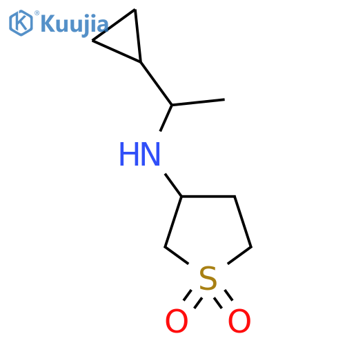 3-[(1-cyclopropylethyl)amino]-1λ?-thiolane-1,1-dione structure