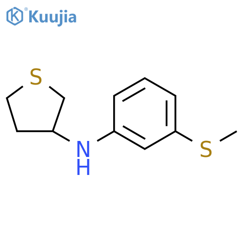 N-[3-(methylsulfanyl)phenyl]thiolan-3-amine structure