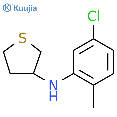 N-(5-chloro-2-methylphenyl)thiolan-3-amine structure
