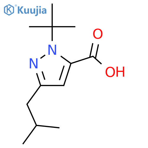 1-tert-butyl-3-(2-methylpropyl)-1H-pyrazole-5-carboxylic acid structure