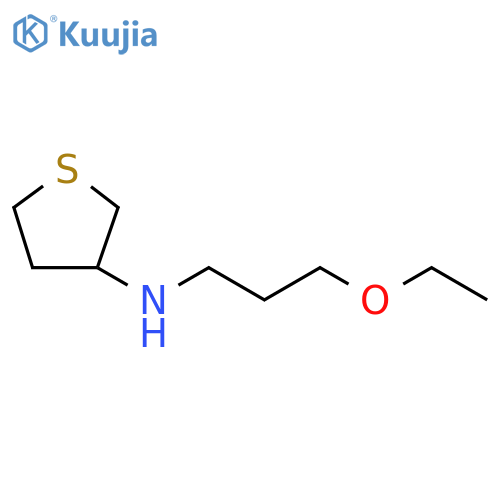 N-(3-ethoxypropyl)thiolan-3-amine structure