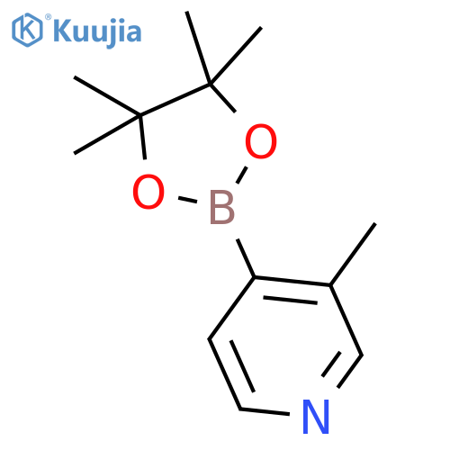 3-methyl-4-(tetramethyl-1,3,2-dioxaborolan-2-yl)pyridine structure