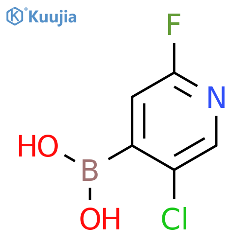 (5-Chloro-2-fluoropyridin-4-yl)boronic acid structure