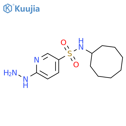 N-cyclooctyl-6-hydrazinylpyridine-3-sulfonamide structure