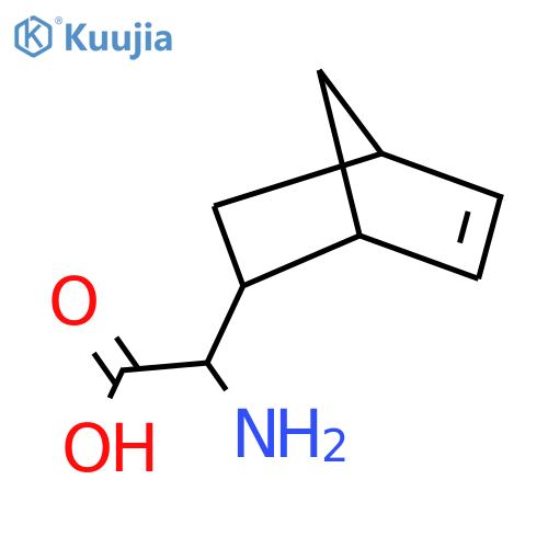2-amino-2-{bicyclo[2.2.1]hept-5-en-2-yl}acetic acid structure
