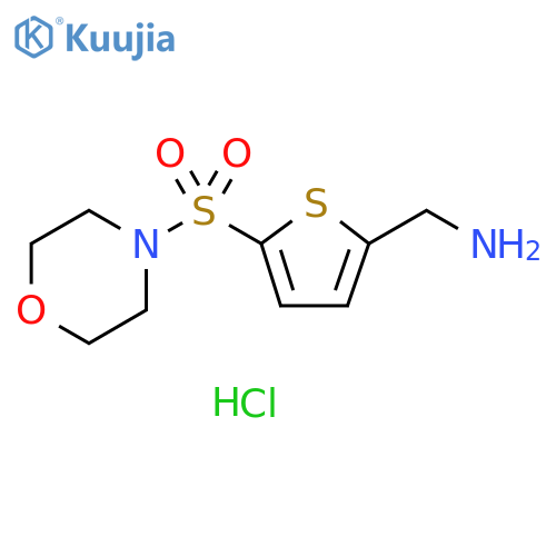 1-[5-(morpholine-4-sulfonyl)thiophen-2-yl]methanamine hydrochloride structure