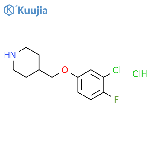 3-Chloro-4-fluorophenyl 4-piperidinylmethyl etherhydrochloride structure