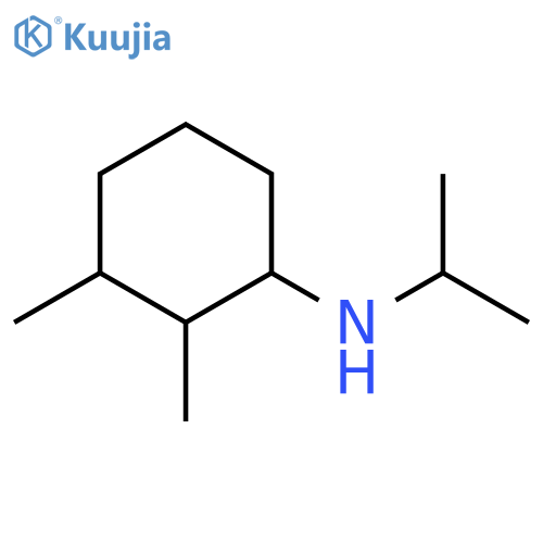 2,3-dimethyl-N-(propan-2-yl)cyclohexan-1-amine structure