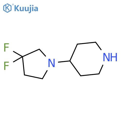 4-(3,3-Difluoropyrrolidin-1-yl)piperidine structure