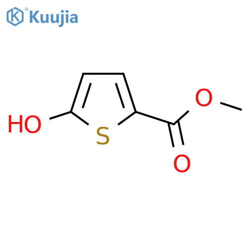 Methyl 5-hydroxythiophene-2-carboxylate structure