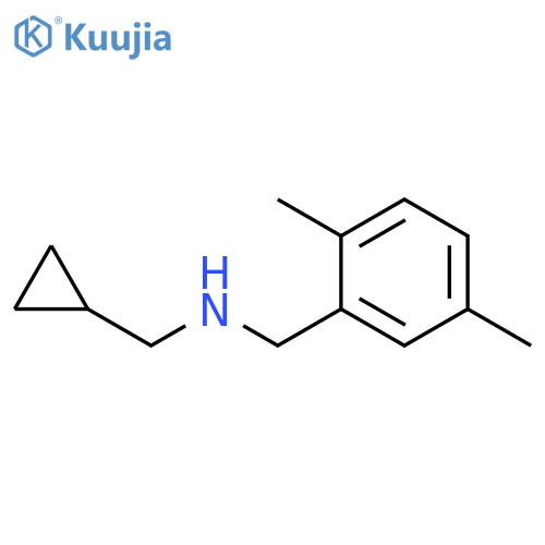 (cyclopropylmethyl)(2,5-dimethylphenyl)methylamine structure