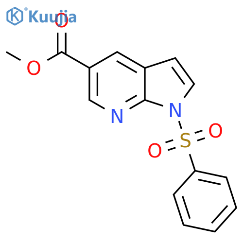 Methyl 1-(Phenylsulfonyl)-1H-pyrrolo2,3-bpyridine-5-carboxylate structure