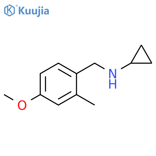 Cyclopropyl-(4-methoxy-2-methylbenzyl)-amine structure