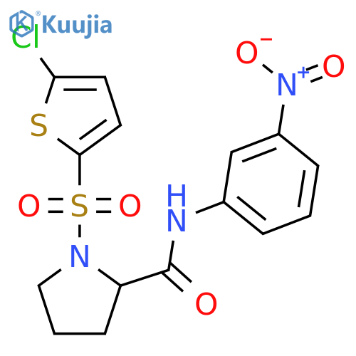 1-[(5-chlorothiophen-2-yl)sulfonyl]-N-(3-nitrophenyl)pyrrolidine-2-carboxamide structure