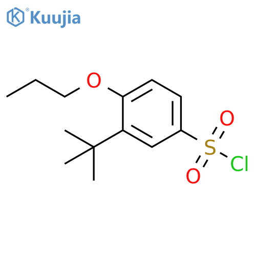 3-tert-butyl-4-propoxybenzene-1-sulfonyl chloride structure
