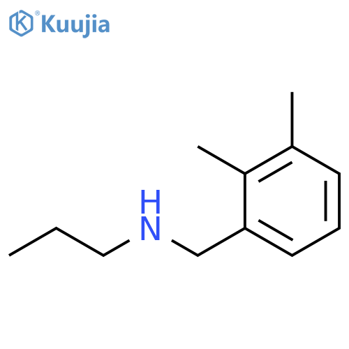 (2,3-dimethylphenyl)methyl(propyl)amine structure