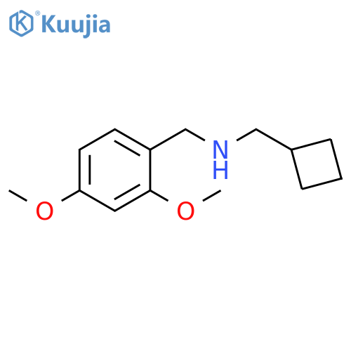 (Cyclobutylmethyl)(2,4-dimethoxyphenyl)methylamine structure