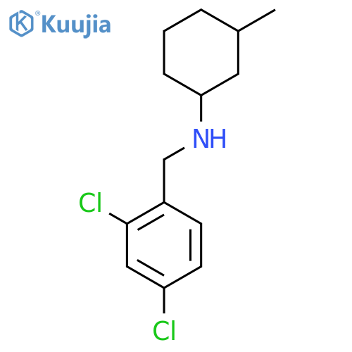 N-[(2,4-Dichlorophenyl)methyl]-3-methylcyclohexan-1-amine structure