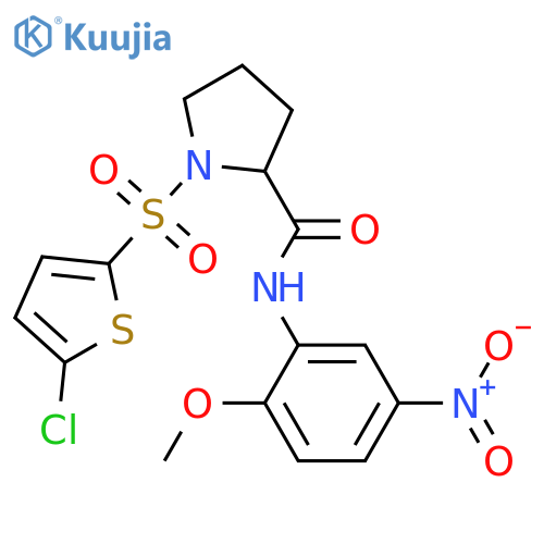 1-[(5-chlorothiophen-2-yl)sulfonyl]-N-(2-methoxy-5-nitrophenyl)pyrrolidine-2-carboxamide structure