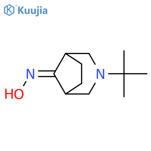 3-tert-butyl-3-azabicyclo[3.2.1]octan-8-one oxime structure
