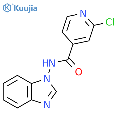 N-(1H-1,3-benzodiazol-1-yl)-2-chloropyridine-4-carboxamide structure