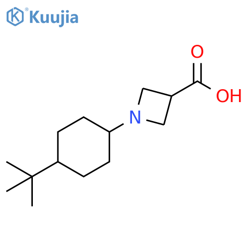 1-(4-tert-butylcyclohexyl)azetidine-3-carboxylic acid structure