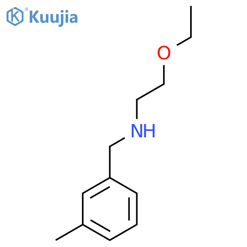 (2-ethoxyethyl)(3-methylphenyl)methylamine structure