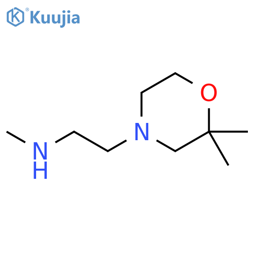 [2-(2,2-dimethylmorpholin-4-yl)ethyl](methyl)amine structure