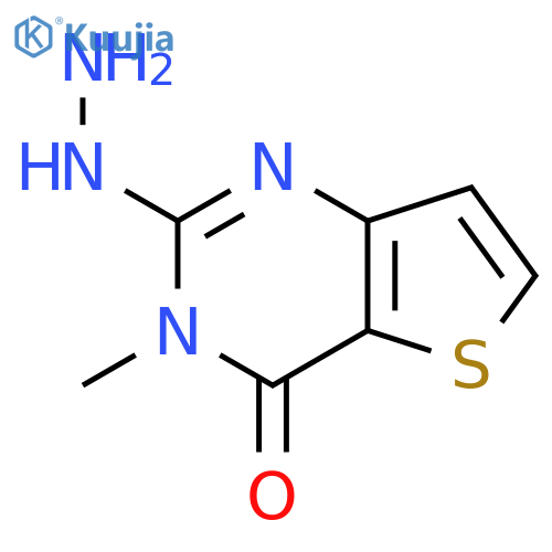 2-Hydrazinyl-3-methylthieno[3,2-d]pyrimidin-4(3H)-one structure