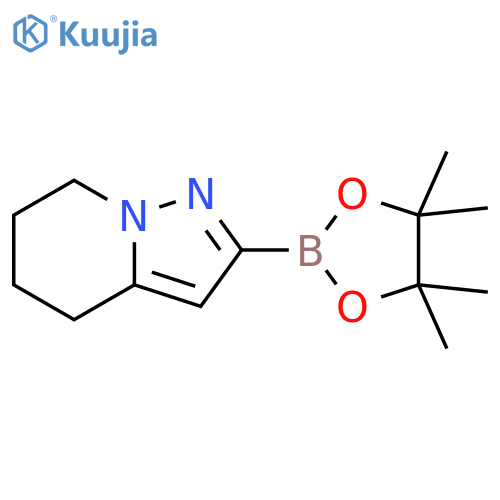 2-(4,4,5,5-tetramethyl-1,3,2-dioxaborolan-2-yl)-4,5,6,7-tetrahydropyrazolo[1,5-a]pyridine structure