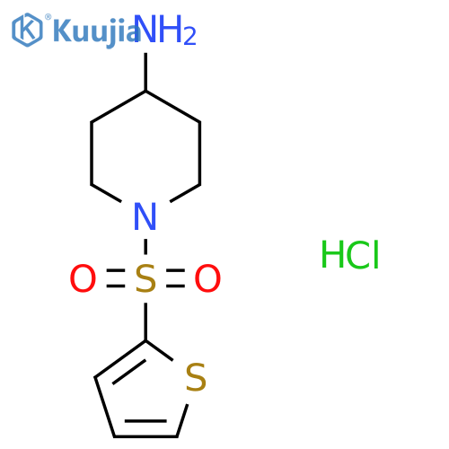 1-(thiophene-2-sulfonyl)piperidin-4-amine hydrochloride structure