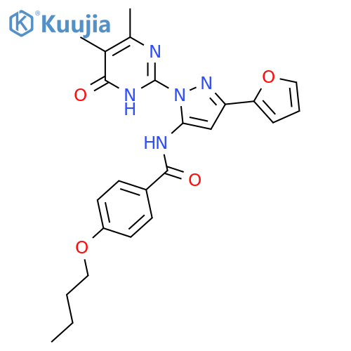 4-butoxy-N-1-(4,5-dimethyl-6-oxo-1,6-dihydropyrimidin-2-yl)-3-(furan-2-yl)-1H-pyrazol-5-ylbenzamide structure