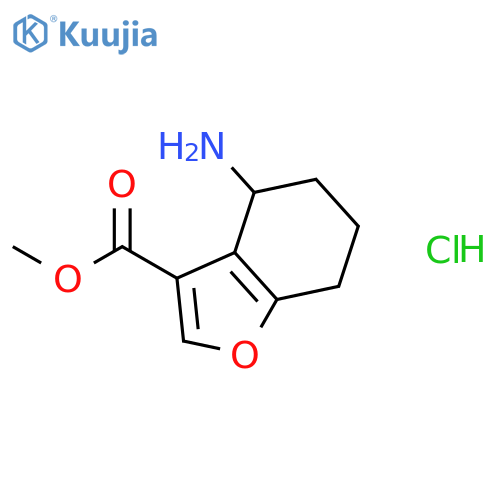 Methyl 4-amino-4,5,6,7-tetrahydrobenzofuran-3-carboxylate hydrochloride structure