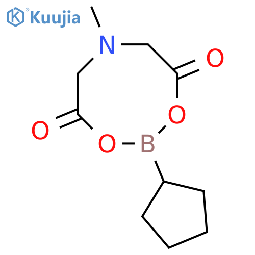 Cyclopentylboronic acid MIDA ester structure
