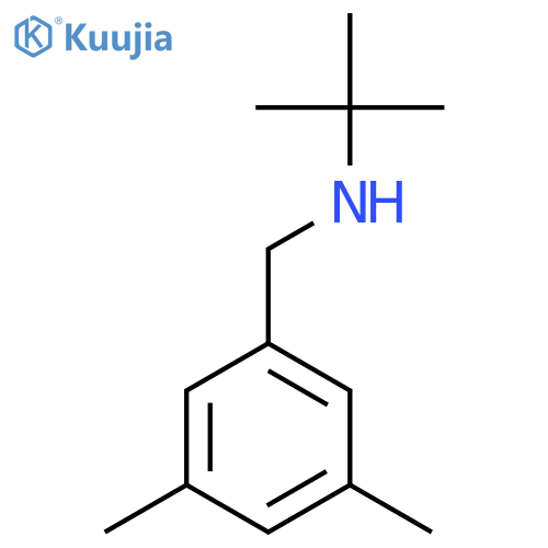 Tert-butyl[(3,5-dimethylphenyl)methyl]amine structure