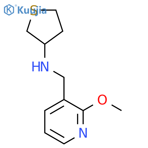 N-[(2-Methoxypyridin-3-yl)methyl]thiolan-3-amine structure