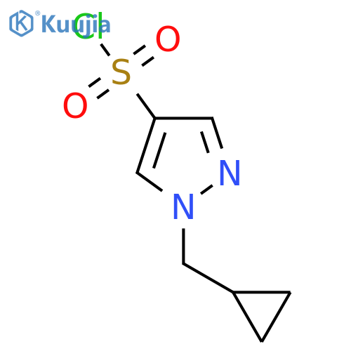 1-(Cyclopropylmethyl)-1H-pyrazole-4-sulfonyl chloride structure